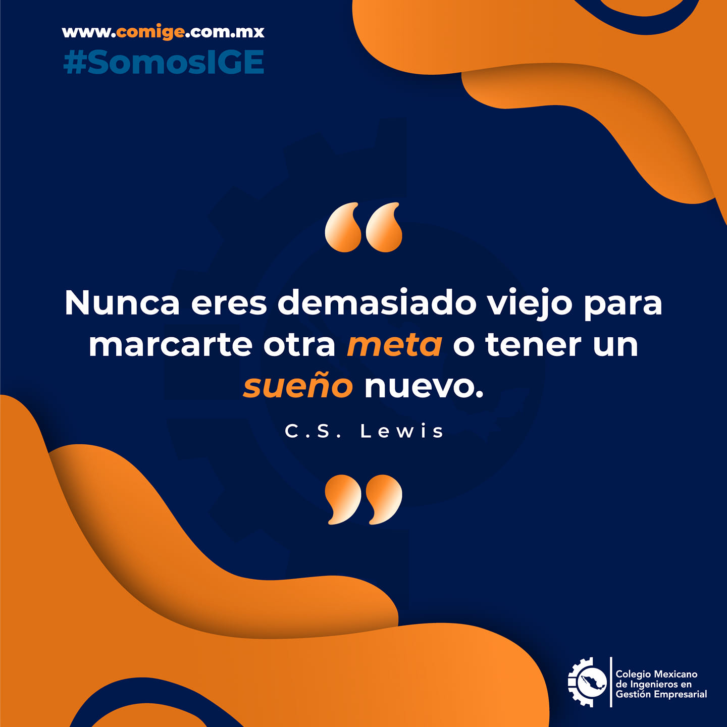 Galería 3